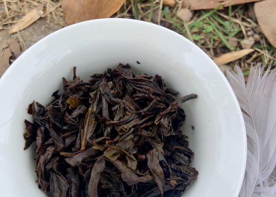 Inspiraciones florales revividas en tazas de té de hueso con 3-5 minutos de tiempo de preparación