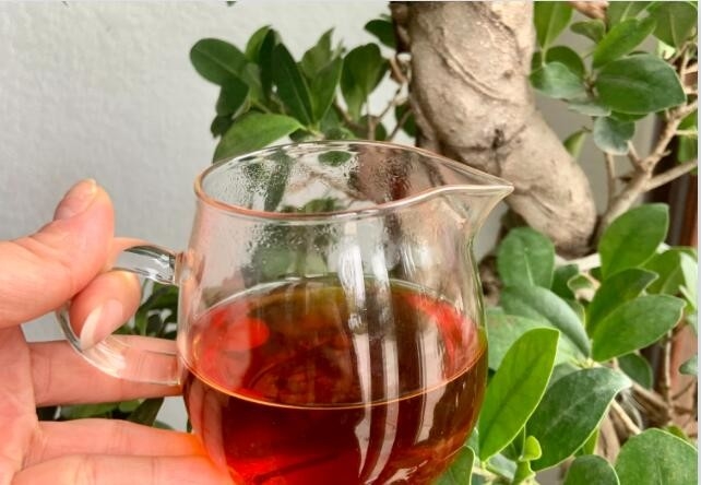 Tylin fue desarrollado por cruce del Instituto de Investigación del Té de la Academia de Ciencias Agrícolas de Fujian con tiegua